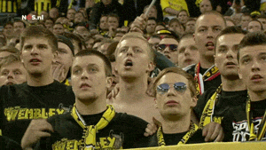 Dortmund-fans-arsenal.gif