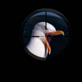 seagull_sniper